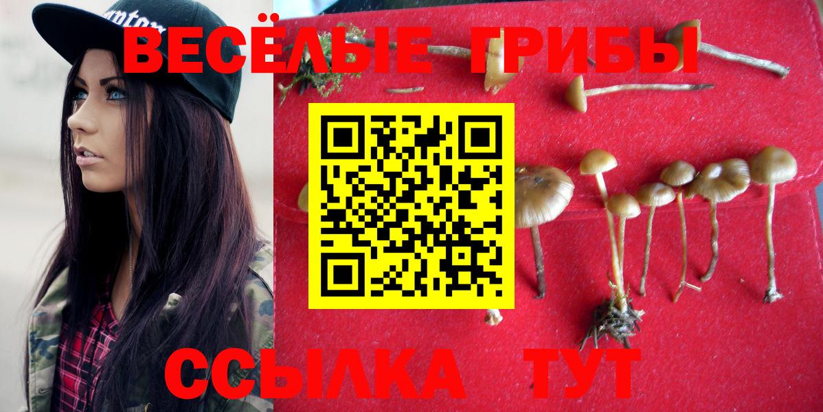 Псилоцибиновые грибы мухоморы  Галлюциногенные грибы мицелий  Избербаш  Вход с VPN 